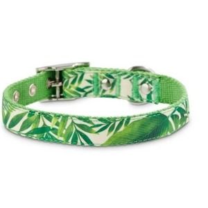 m medium new Bond & Co Palm Springs Leaves Dog Puppy Collar summer hawaiian